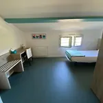 Hotel Les Rives Du Salat 2*